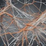 Guide to UK ISP Blocking and Web Filters